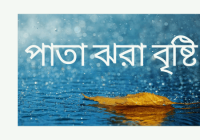 Pata Jhora Brishti Song Lyrics